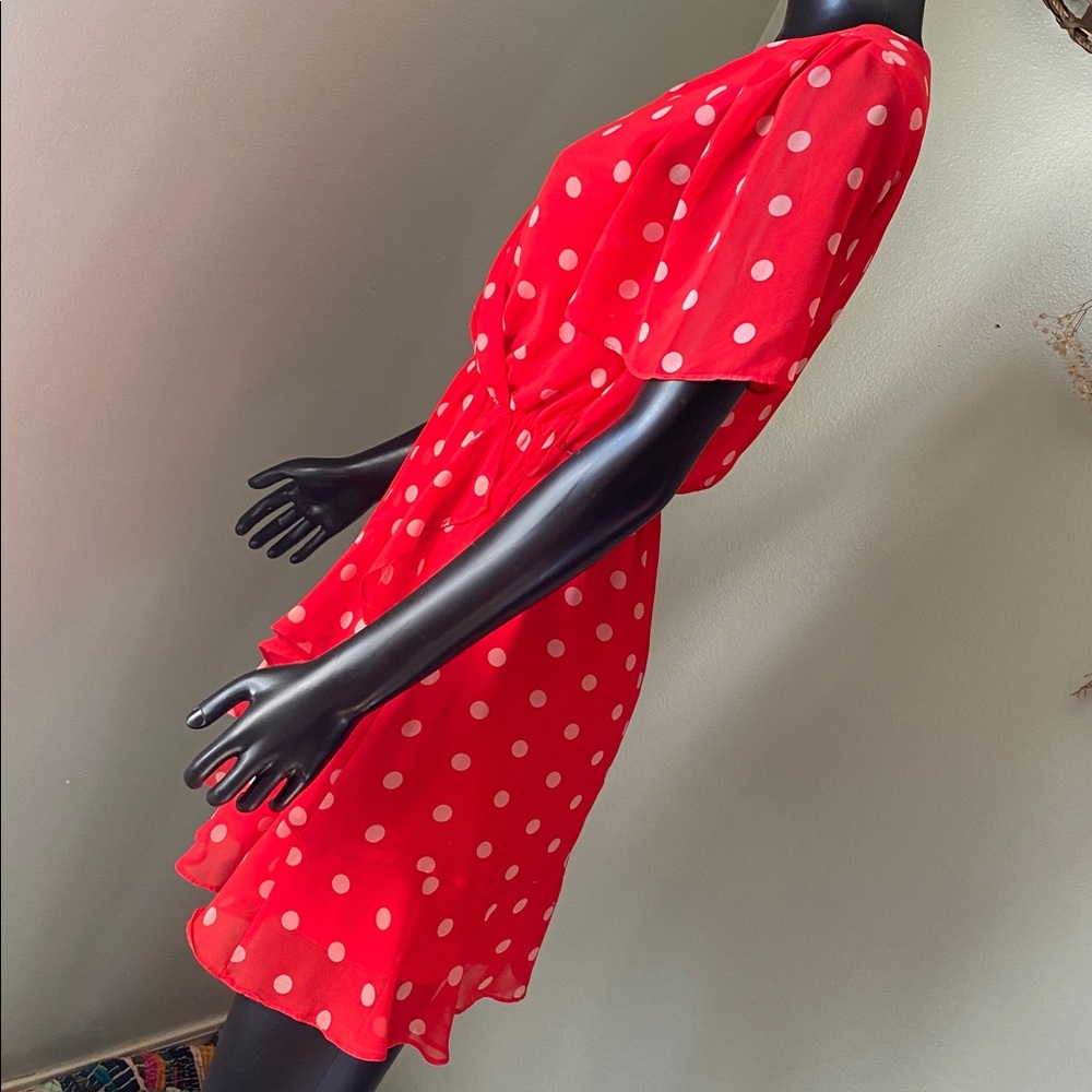 Miami Red and White Polka Dot Mini Sheer Dress - Picture 6 of 13